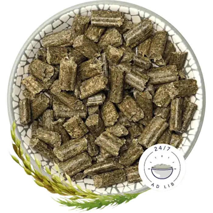 Bunny Nature KonijnenDroom Herbs