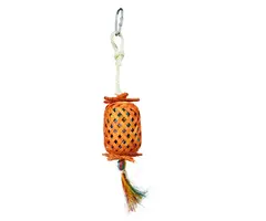 Back Zoo Nature Lantern Pinata