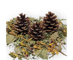 Whoopie Whoopie’s Mix & Forage Foerageer Dennenappels