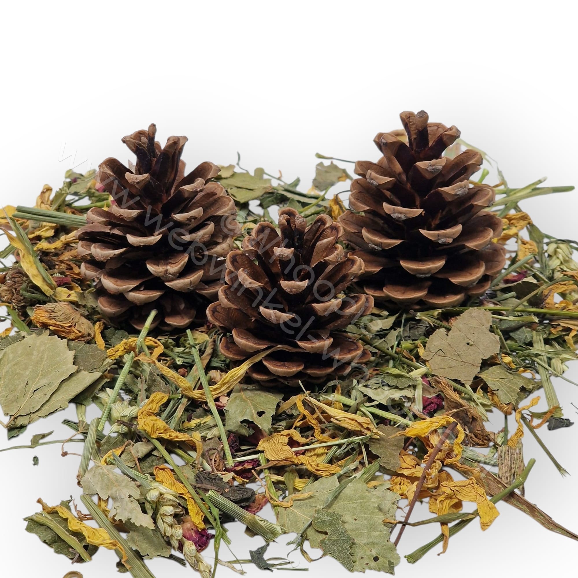 Whoopie Whoopie’s Mix & Forage Foerageer Dennenappels