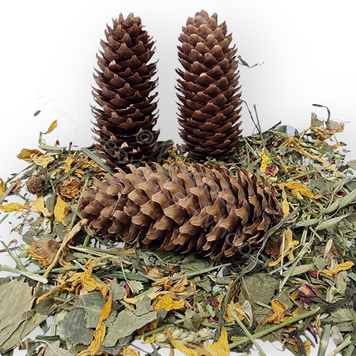 Whoopie Whoopie’s Mix & Forage Foerageer Fijnspar Dennenappels