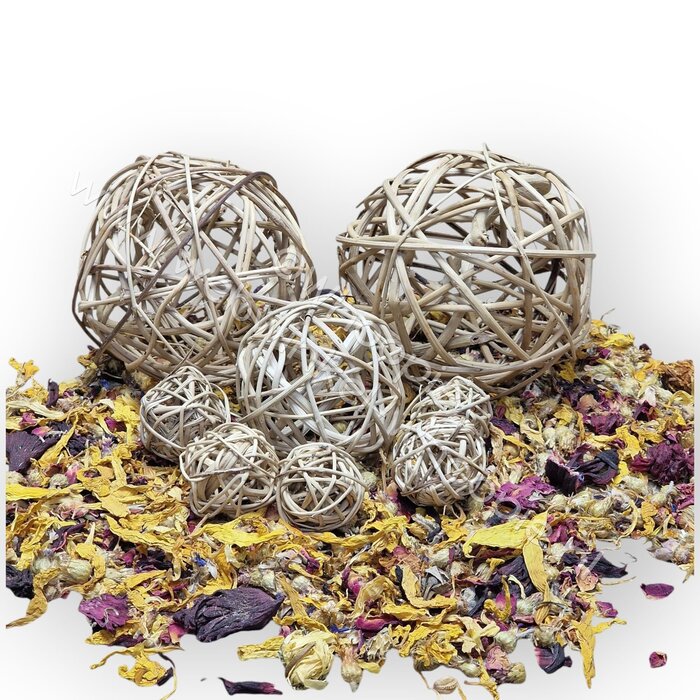 Whoopie Foerageerbal Rotan