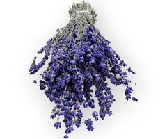 Whoopie Bosje Lavendel