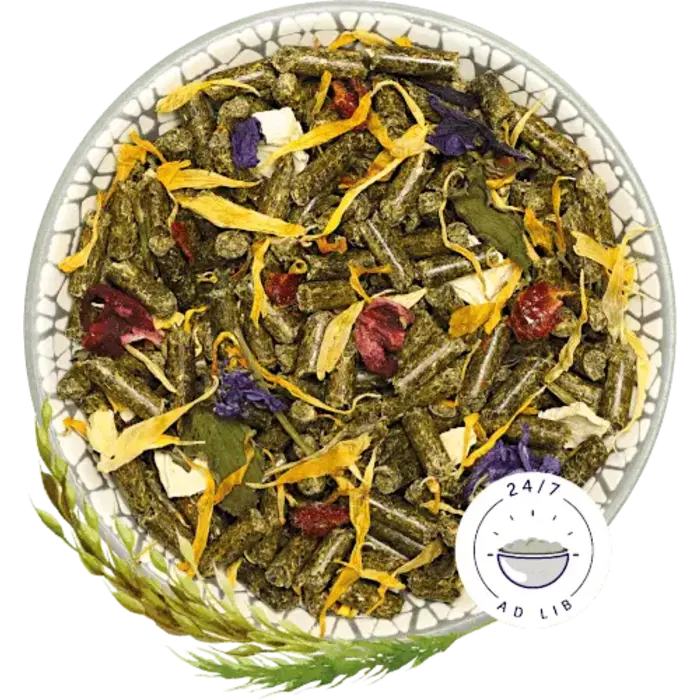 Bunny Nature DegoeDroom Basic