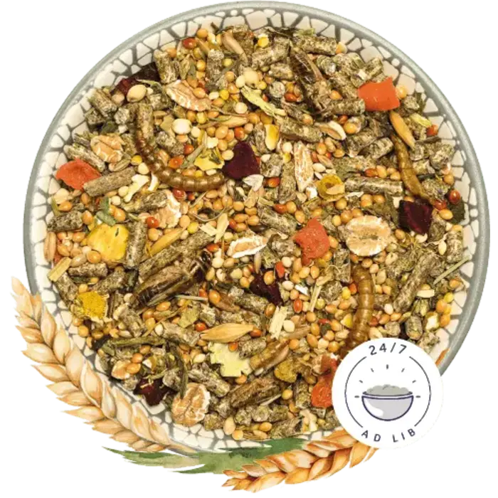 Bunny Nature GerbilDroom Basic