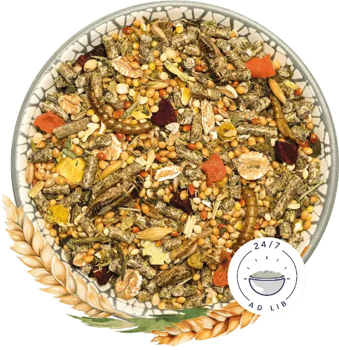 Bunny Nature GerbilDroom Basic