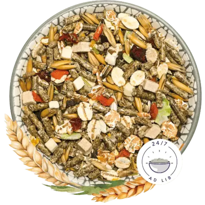 Bunny Nature MuizenDroom Basic