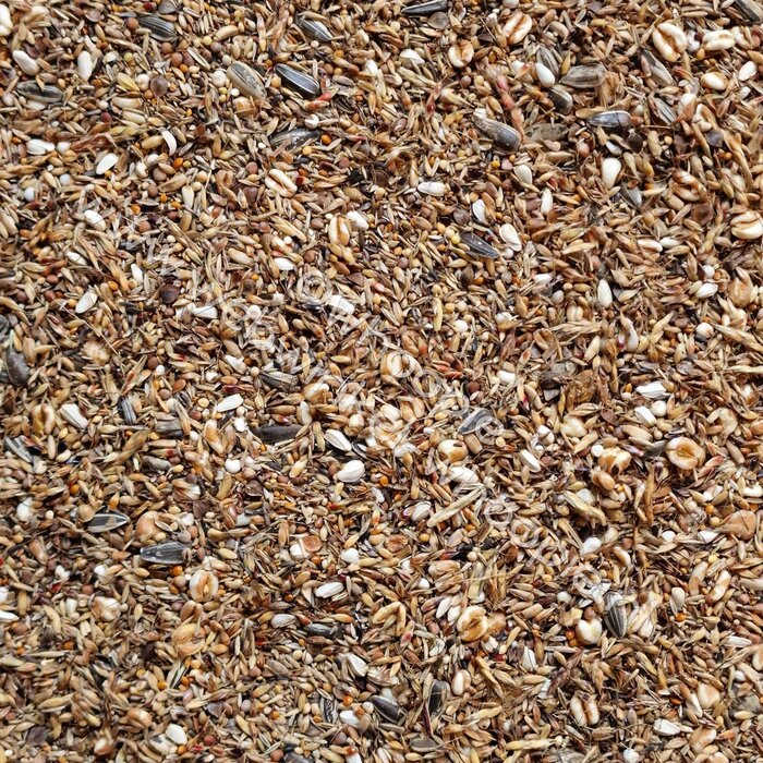 Whoopie Anne's Grote Parkieten Basismix