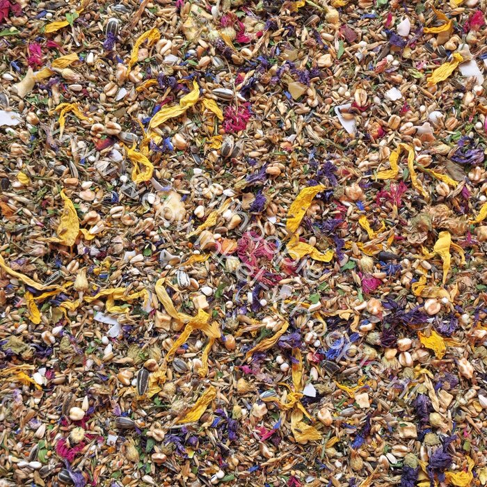 Whoopie Anne's Grote Parkieten Deluxe