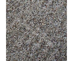 Whoopie Whoopie's Wildveld Bloemzadenmix