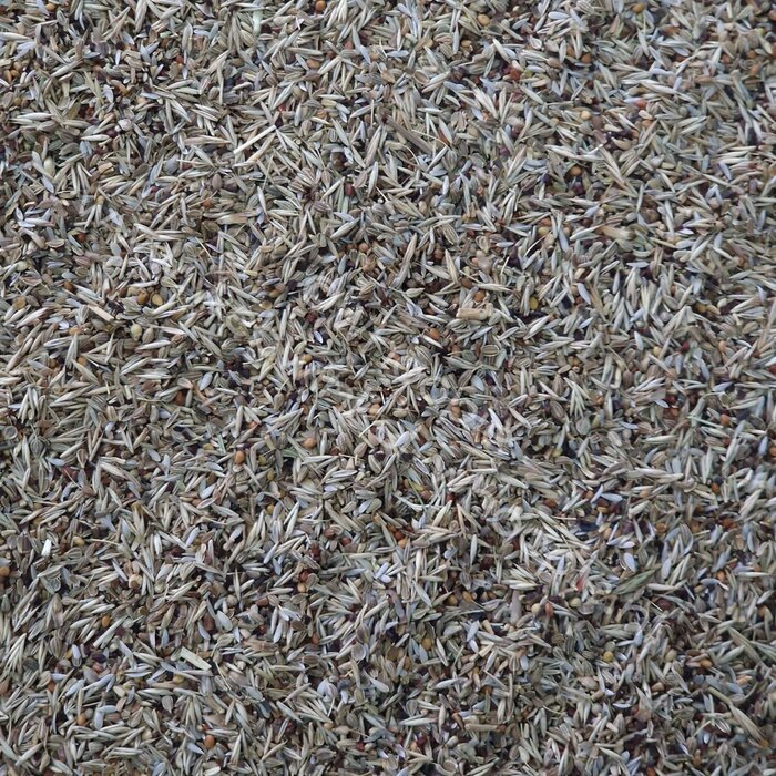 Whoopie Whoopie's Wildveld Bloemzadenmix