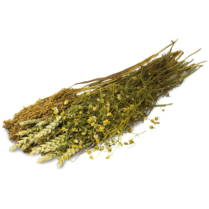 JR FARM Kamille oogst 80 gram