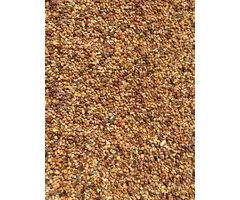 Whoopie Weegbree & Klaverzaad