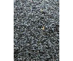 Whoopie Blauw Maanzaad