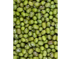 Whoopie Katjang Idjoe (Mungbonen)