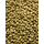 Gele Gierst (Panicum)