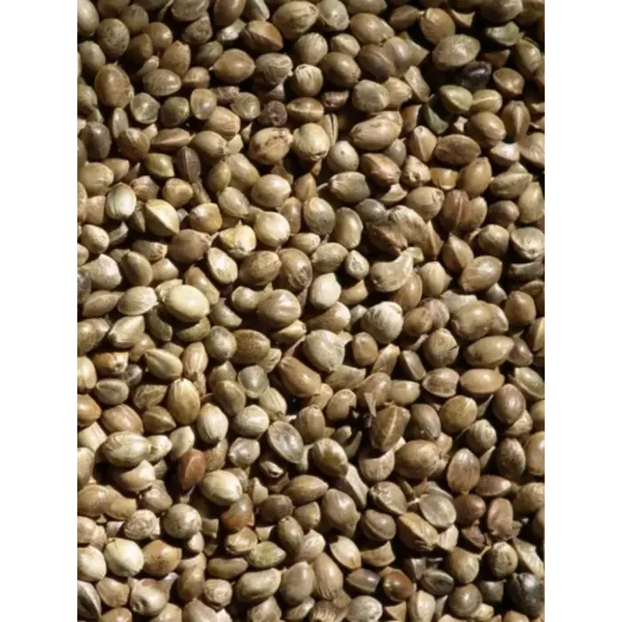 Whoopie Hennepzaad (Kempzaad)