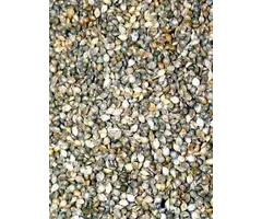 Whoopie Japanse Gierst