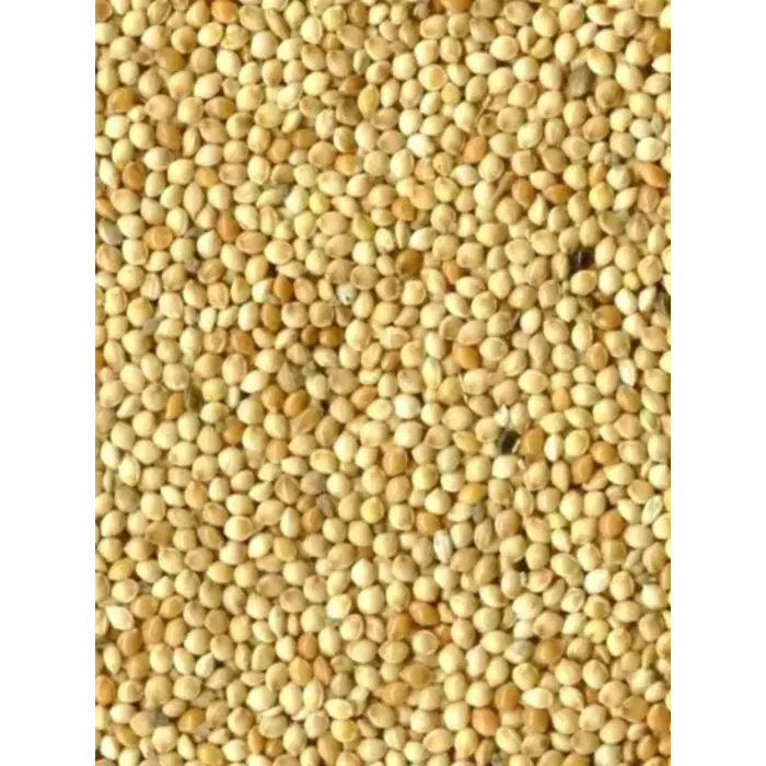 Whoopie Witte Millet