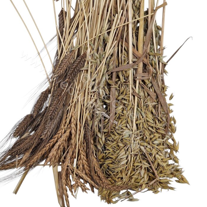 Whoopie Whoopie's Oergranenmix