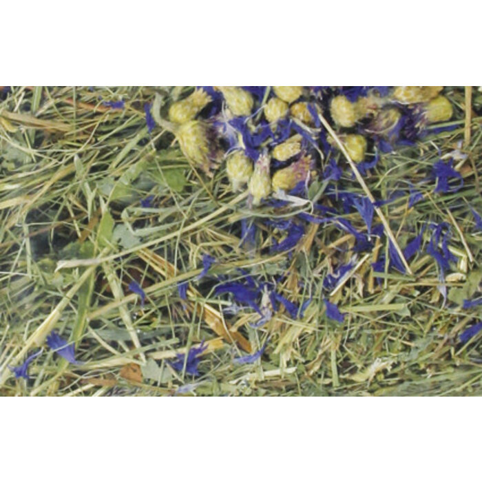 BARN-I Barn-I Kruidenhooi Korenbloem (blauw)