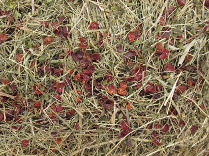BARN-I Barn-I Kruidenhooi Rozenbottel (rood)