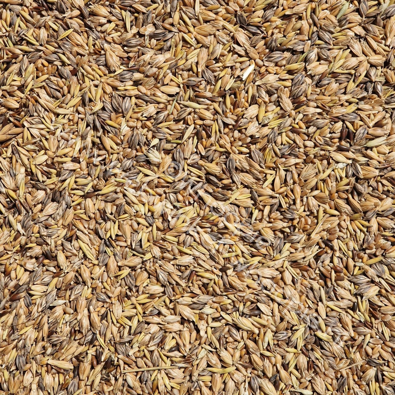 Gewicht : 500 gram