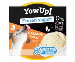 YowUp! Frozen Yoghurt Salmon Tartar
