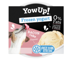YowUp! Frozen Yoghurt Bacon Cake