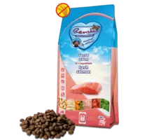 Renske Super Premium Droogvoeding Vers bereide Zalm