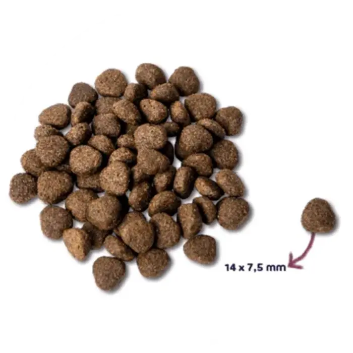 Renske Super Premium Droogvoeding Vers bereide Zalm