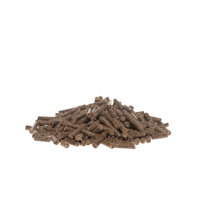 Hedric Geiten & Bokkenbrok