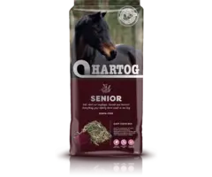 Hartog Hartog Senior