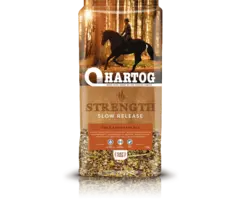 Hartog Hartog Strength
