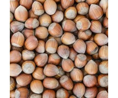 Whoopie Hazelnoten in dop