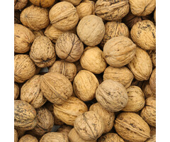 Whoopie Walnoten in dop