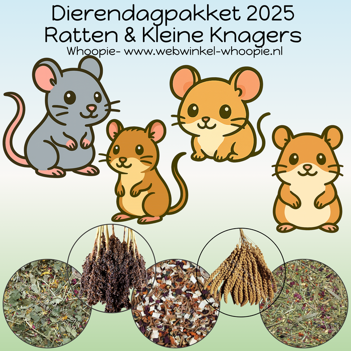 Whoopie Dierendagpakket Ratten & Kleine Knagers