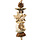 Sola Star Tree