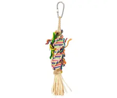 Back Zoo Nature Parakeet Mini Rainbow