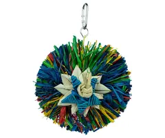 Back Zoo Nature Rainbow Star