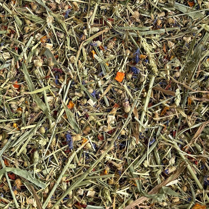 Whoopie Whoopie's Timothy Droom