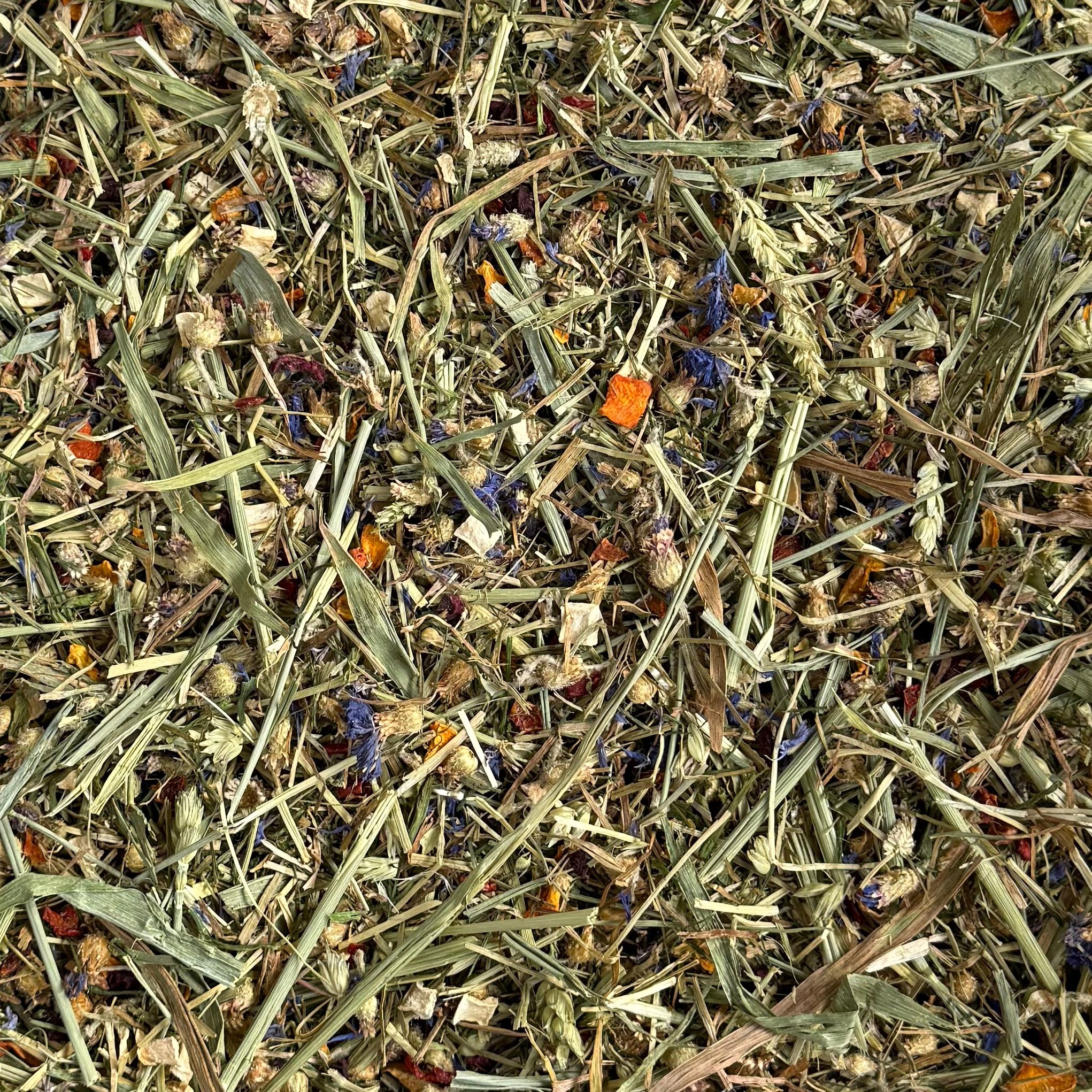 Whoopie Whoopie's Timothy Droom