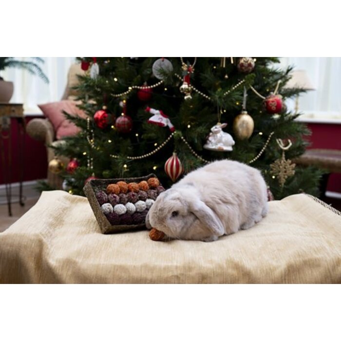 Rosewood Cupid & Comet Advent Gift 'n' Forage Truffel Schaal (OP=OP)