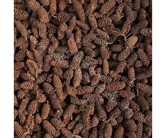 Whoopie Whoopie’s Mix & Forage – Alder Cones (Elskegeltjes)