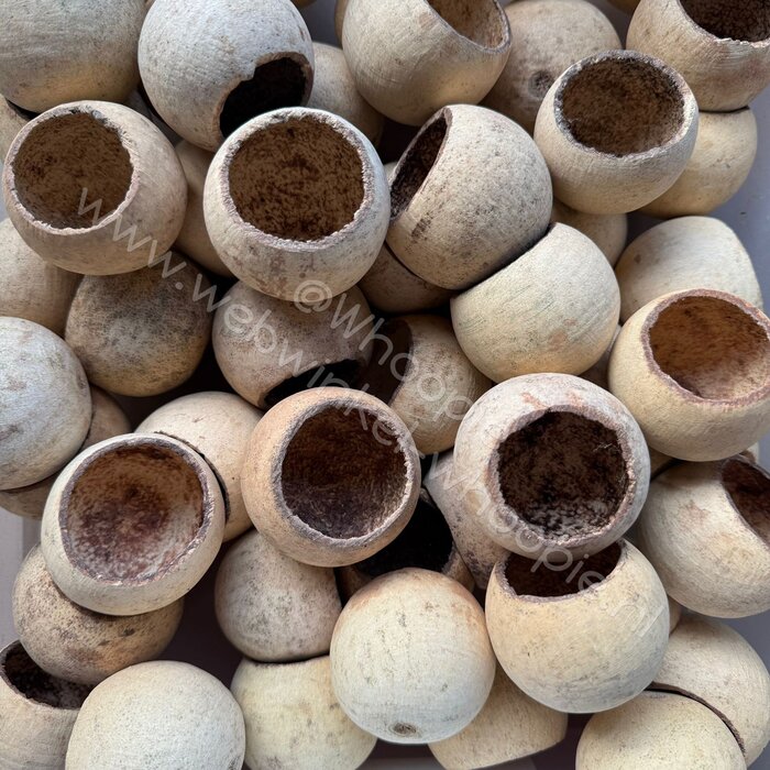 Whoopie Whoopie’s Mix & Forage – Vul- & Sloopcup