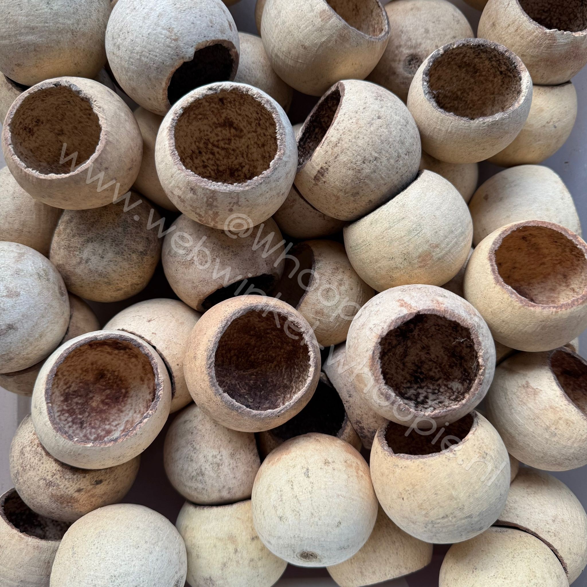 Afmetingen : 5 - 7 cm