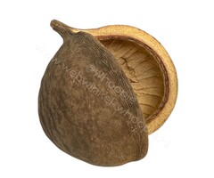 Whoopie Whoopie’s Mix & Forage – Boeddha Noot