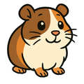 Cavia