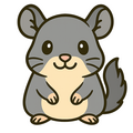 Chinchilla