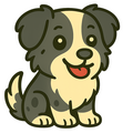 Hond